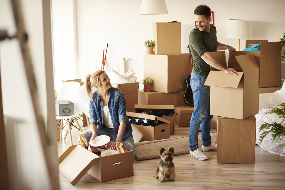 What Are The Major Factors For Considering A Move